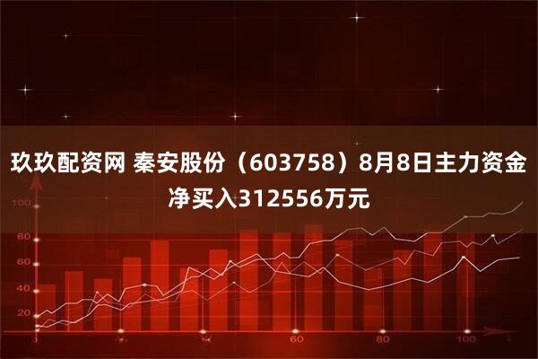 玖玖配资网 秦安股份（603758）8月8日主力资金净买入312556万元