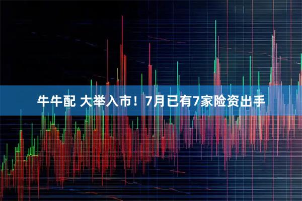 牛牛配 大举入市!7月已有7家险资出手